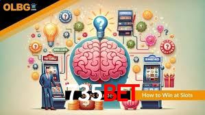 Statistics 735bet